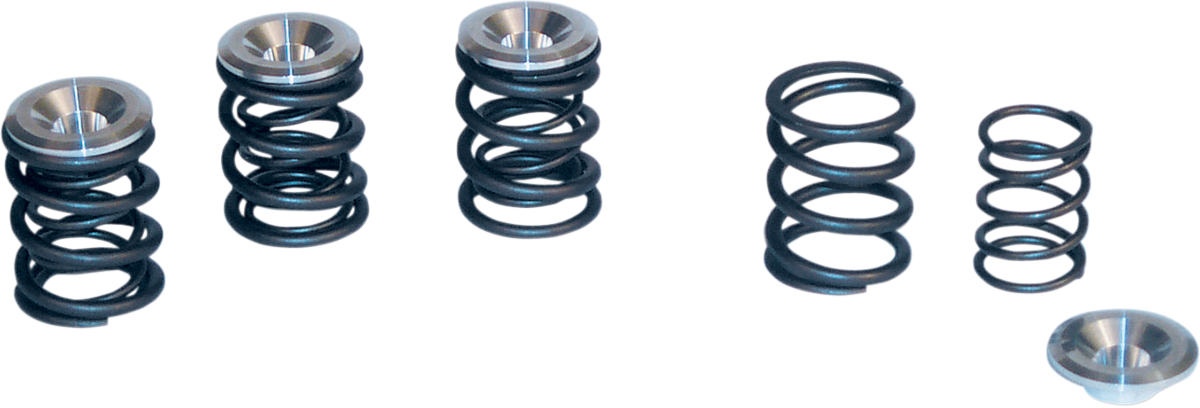 S&S CYCLE Valve Spring Kit - Big Twin