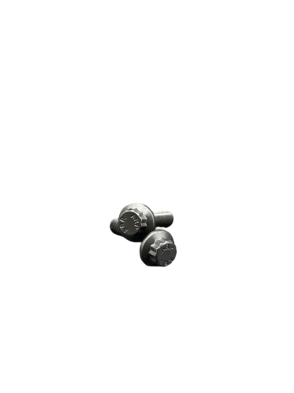 18+ Softail Pinch Bolt Kit
