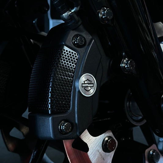 Touring Caliper Pinch Bolt ARP Kit