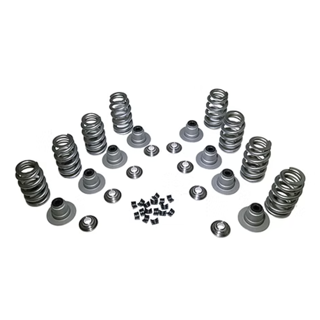 Star M8 Valve Spring Kit