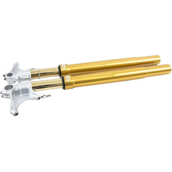 OHLINS Fork Cartridge Kit - 48 mm - Inverted - Gold (FGRT308)