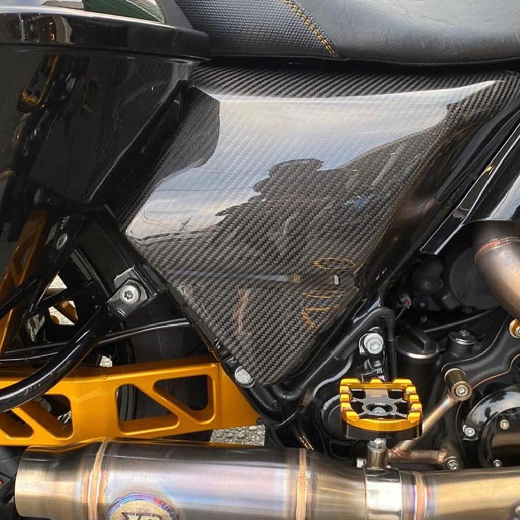 Carbon Visionary Carbon Fiber Alter Ego Side Cover