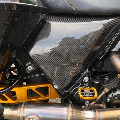 Carbon Visionary Carbon Fiber Alter Ego Side Cover