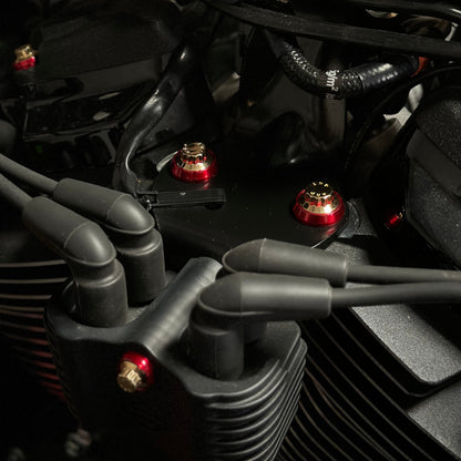 M8 Softail Mid Engine Mount ARP Kit
