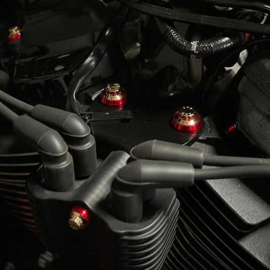 M8 Softail Mid Engine Mount ARP Kit