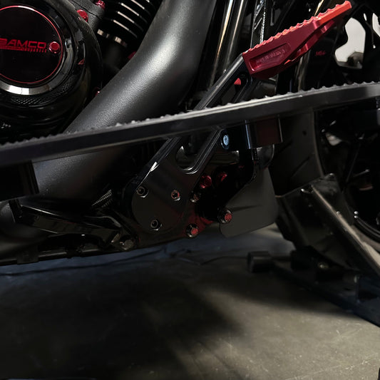 Thrashin Bagger Brake Arm Bolt Kit