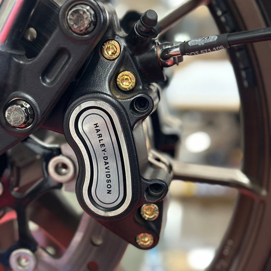 M8 Softail Caliper Pinch Bolt Kit
