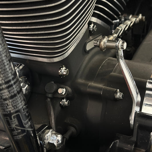 Twin Cam Case Bolts