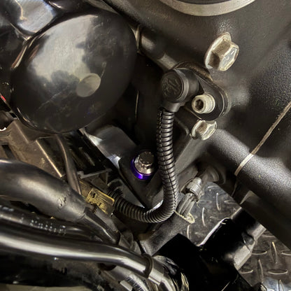 06-17 Dyna Front Motor Mount ARP Kit