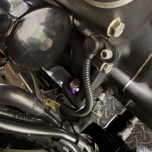 06-17 Dyna Front Motor Mount ARP Kit