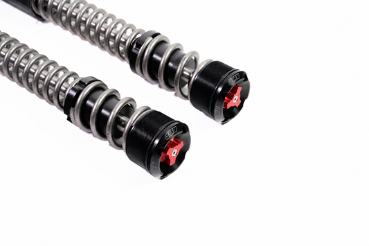 RWD RS-1F Front Fork Cartridge System for 2006 - 2017 Harley Davidson Dyna (Colored Knobs)