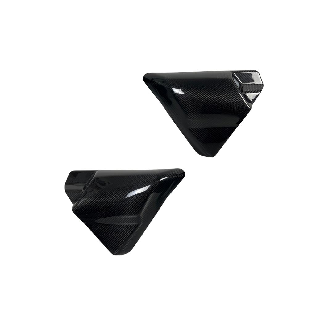 Carbon Visionary Carbon Fiber Alter Ego Side Cover