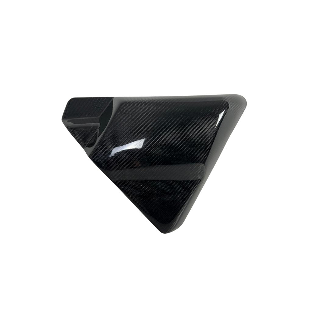 Carbon Visionary Carbon Fiber Alter Ego Side Cover