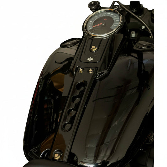 Harley Fat Boy Dash bolts
